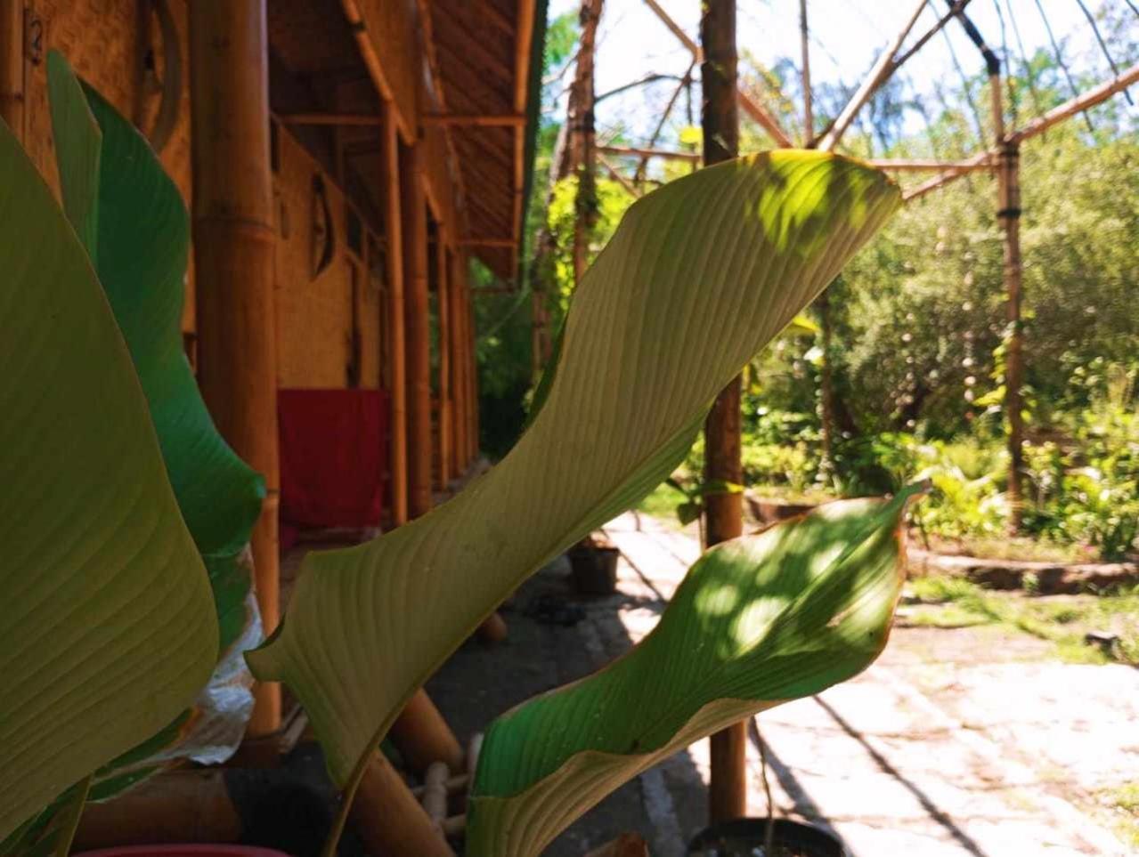 Hostel Uncle Hippie'S Dream Gili Meno Exteriér fotografie
