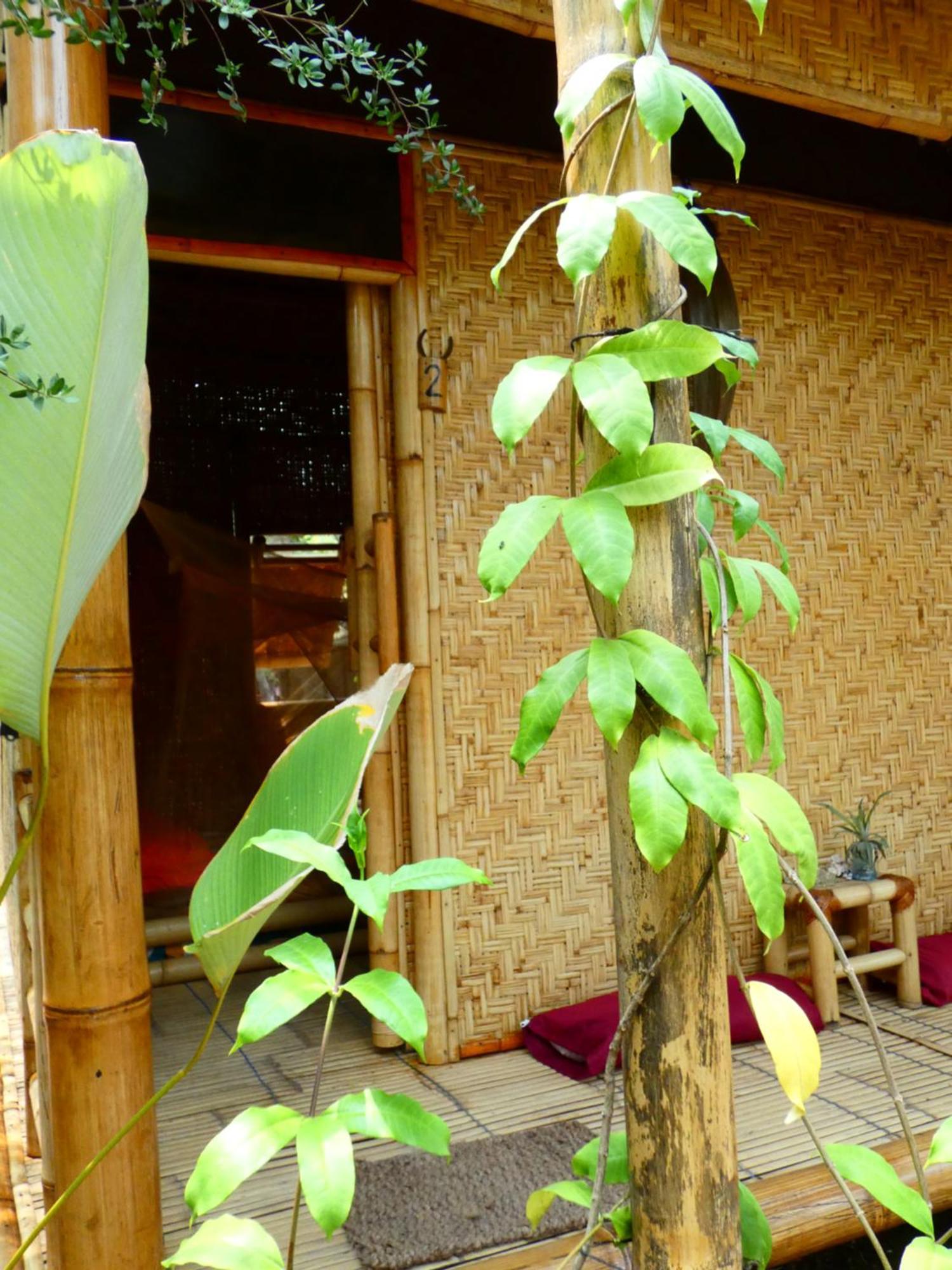 Hostel Uncle Hippie'S Dream Gili Meno Exteriér fotografie